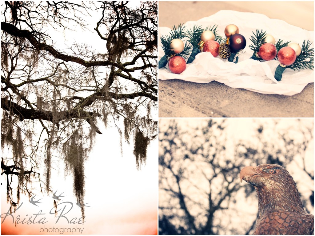 K.RaePhotography (8)