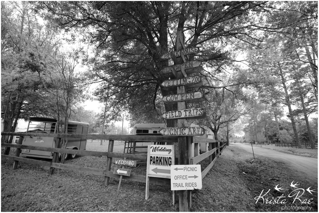 KristaraePhotography17