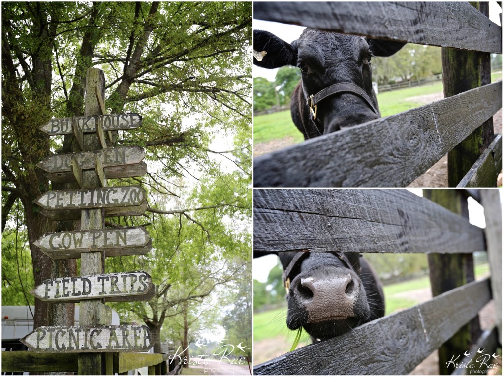 KristaRaePhotography19