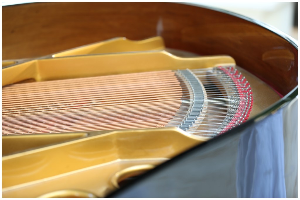 kristaraephotography42