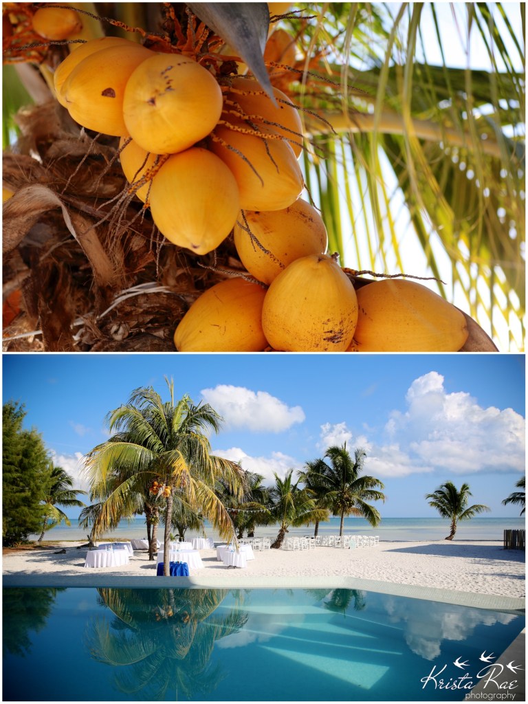 kristaraephotography88